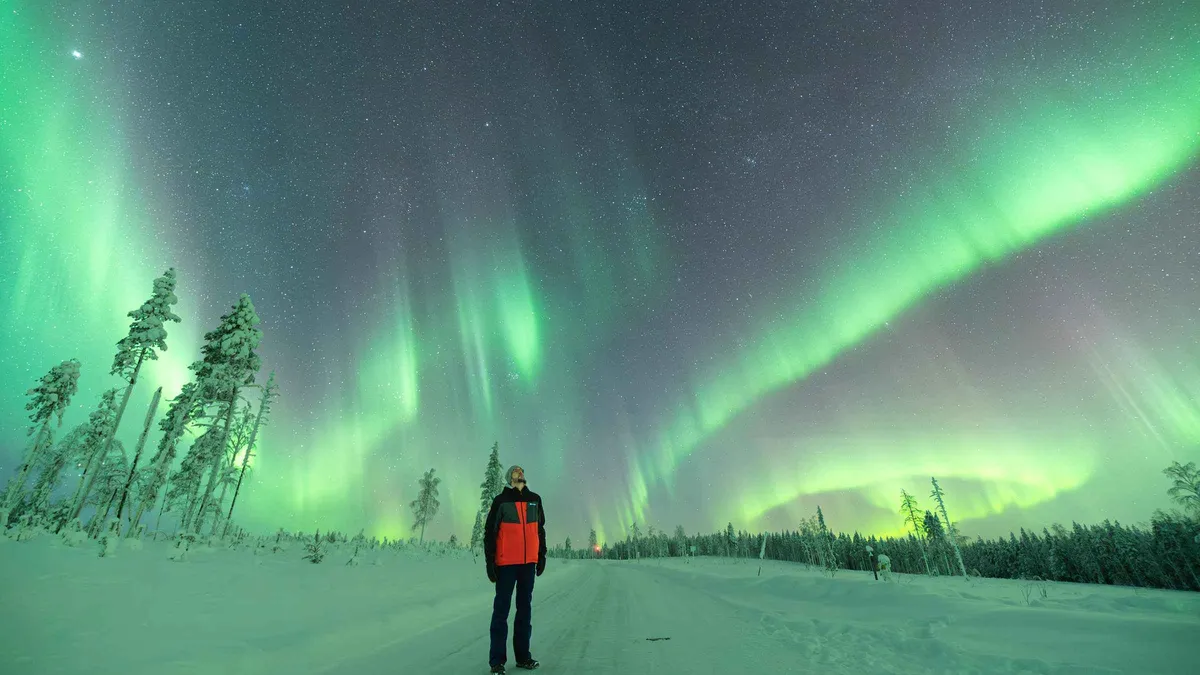 Guide and small group watching green aurora over a snowy forest clearing on the cheapest aurora borealis tour Rovaniemi runs, Finnish Lapland